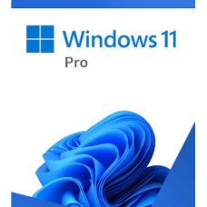 Microsoft Windows 11 Professional USB